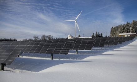 “How World Leaders are Shaping the Future of Renewable Energy”