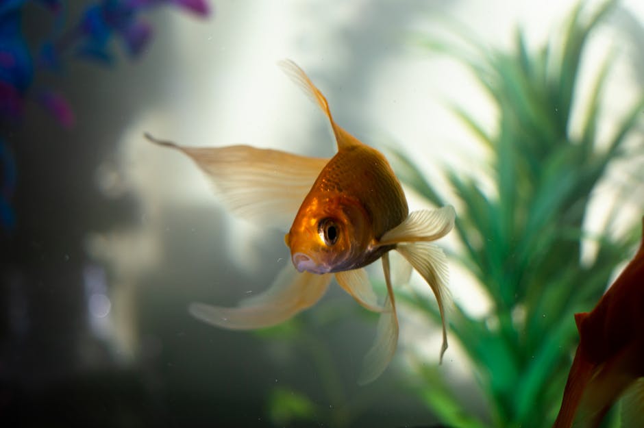 Learning from Mistakes: Why Being a Goldfish Isn’t the Answer